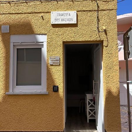 Casas Dona Emilia Apartment Vieira de Leiria Exterior photo